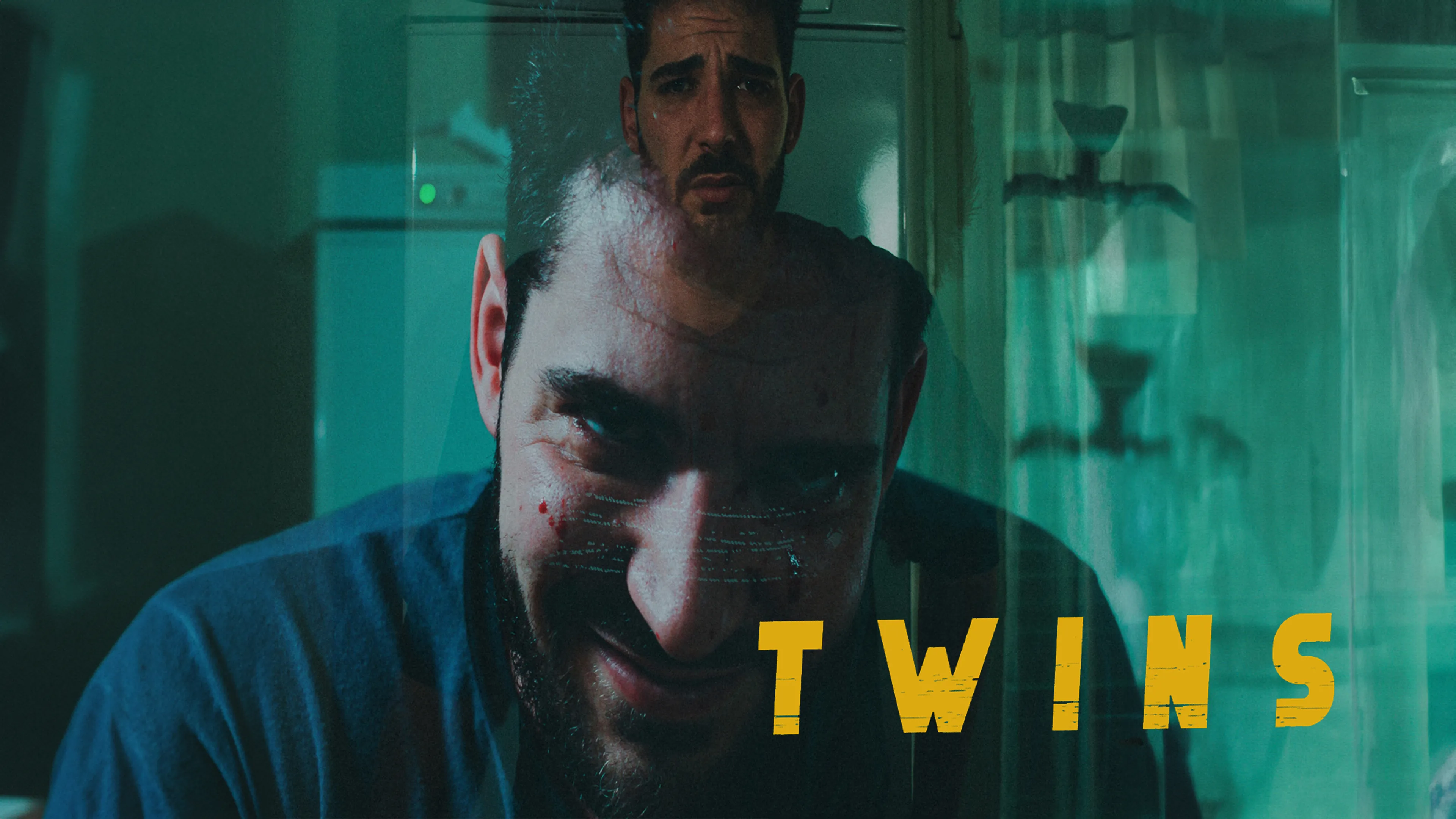 Twins poster